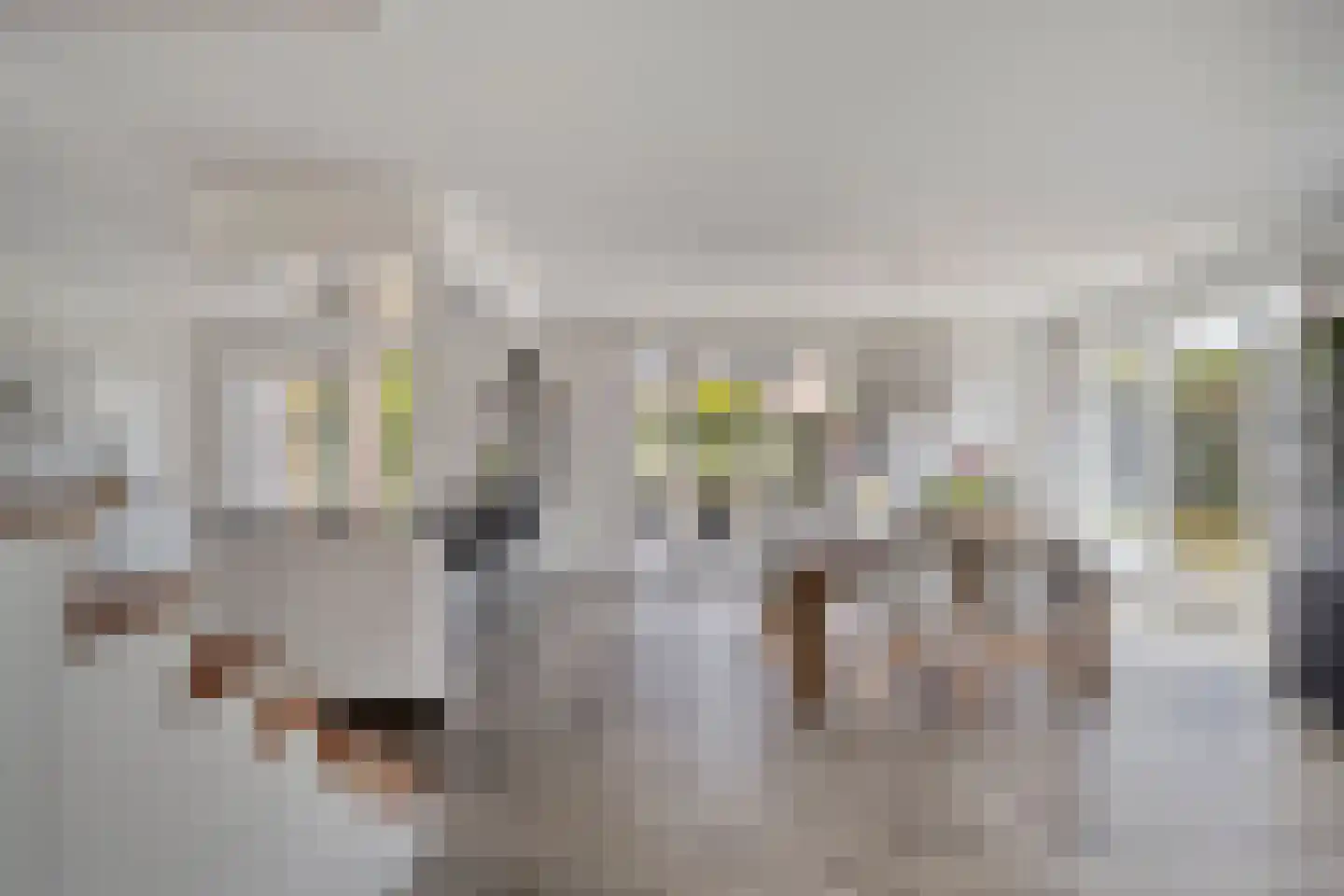 Hella Haassestraat 9 Duiven thumbnail 12