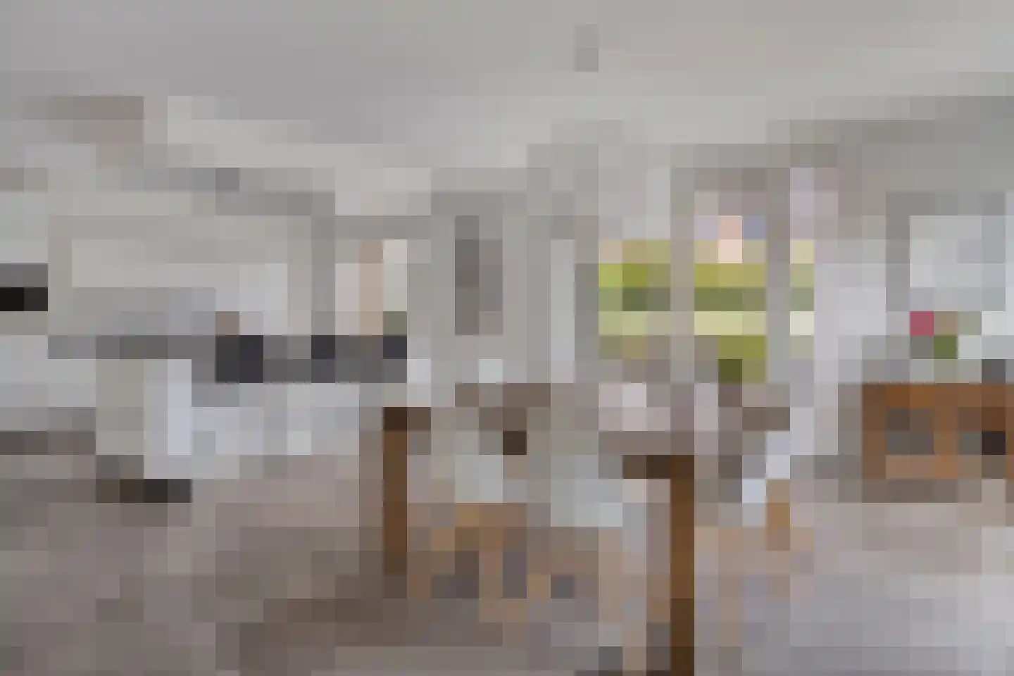Hella Haassestraat 9 Duiven thumbnail 13