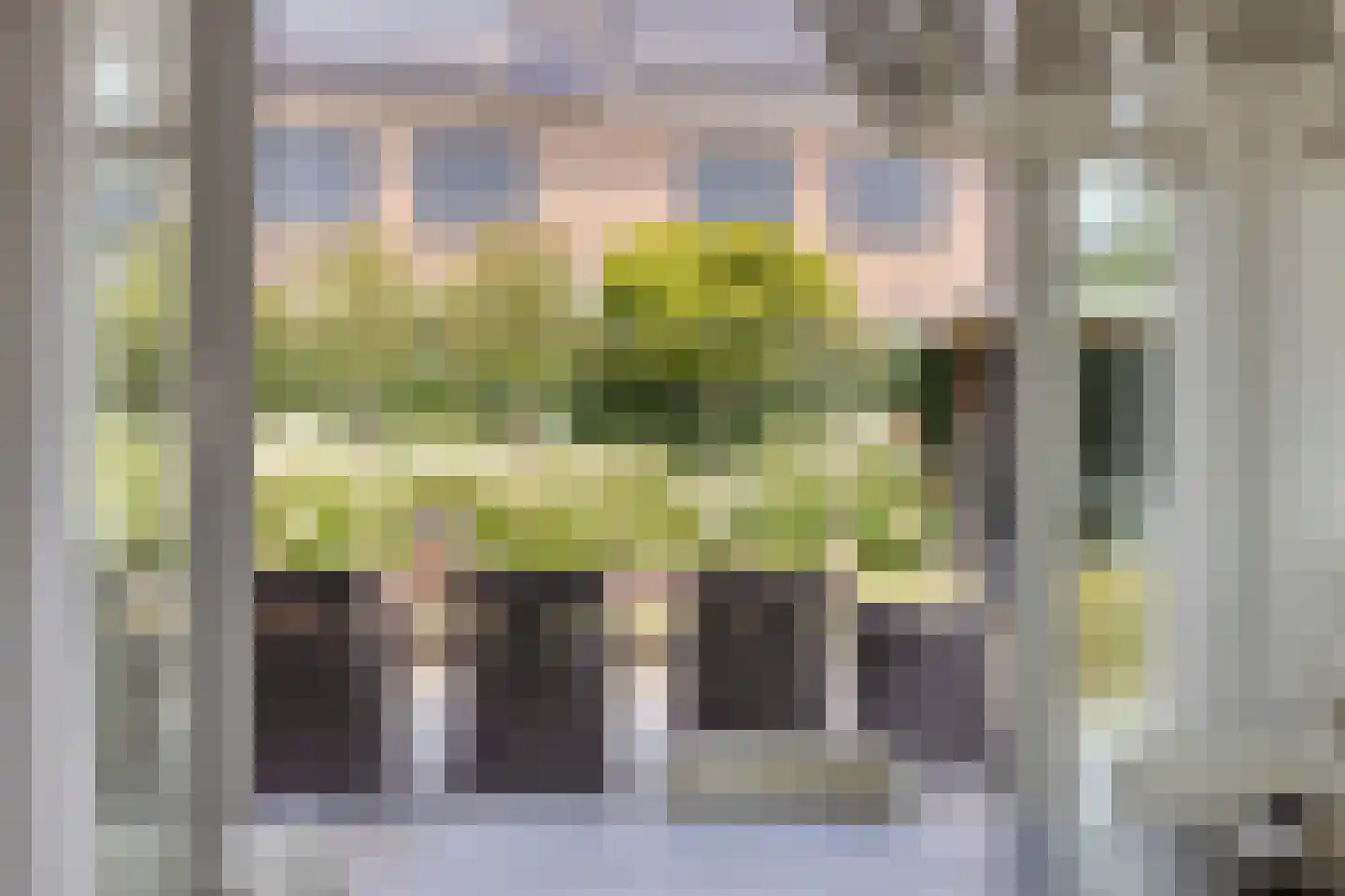 Hella Haassestraat 9 Duiven thumbnail 14