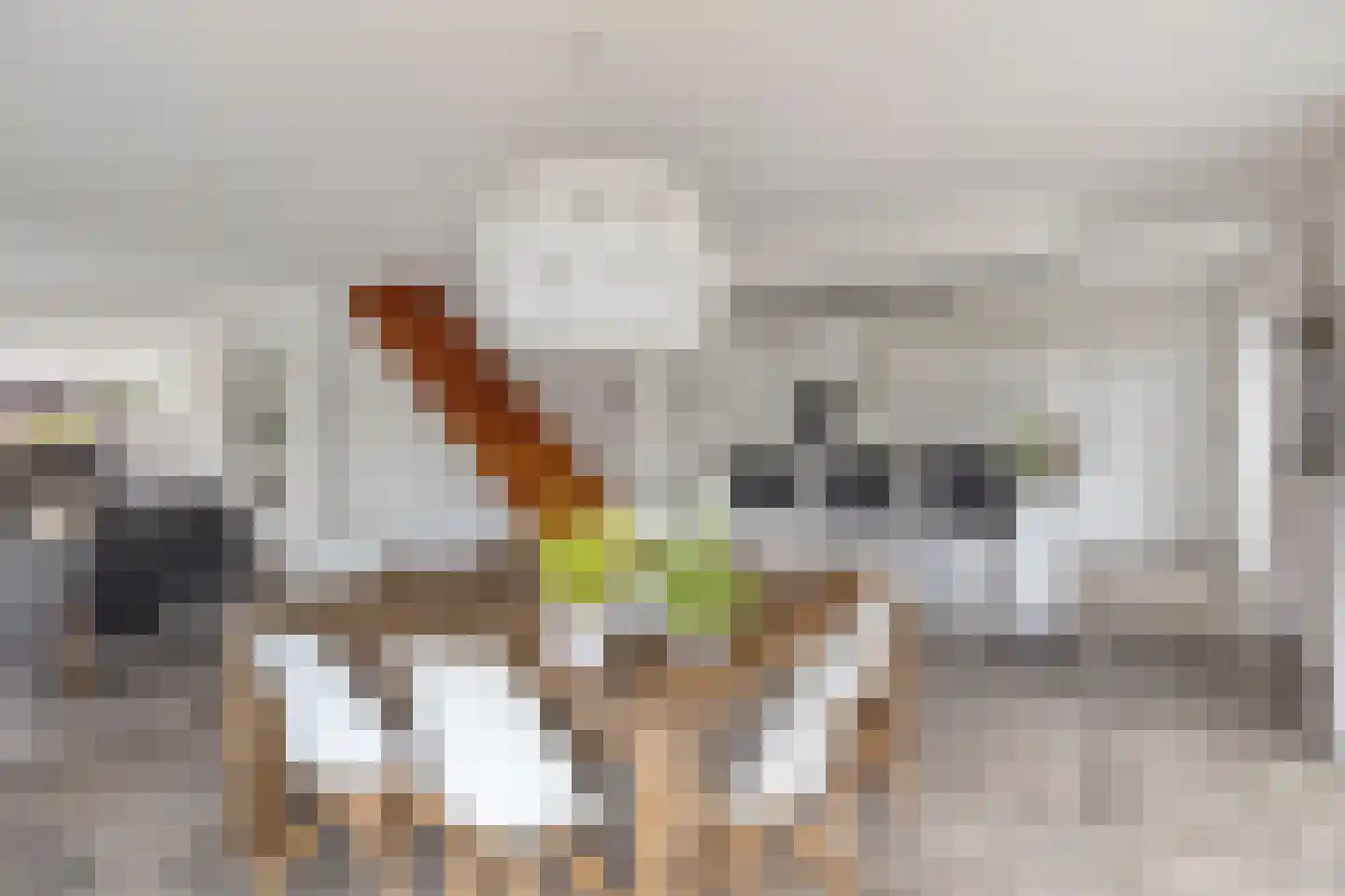 Hella Haassestraat 9 Duiven thumbnail 15