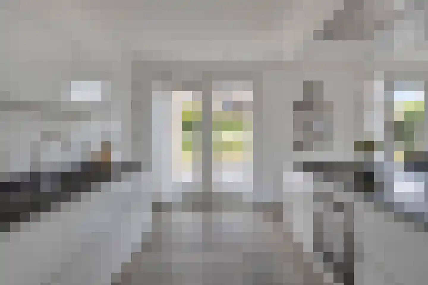 Hella Haassestraat 9 Duiven thumbnail 17