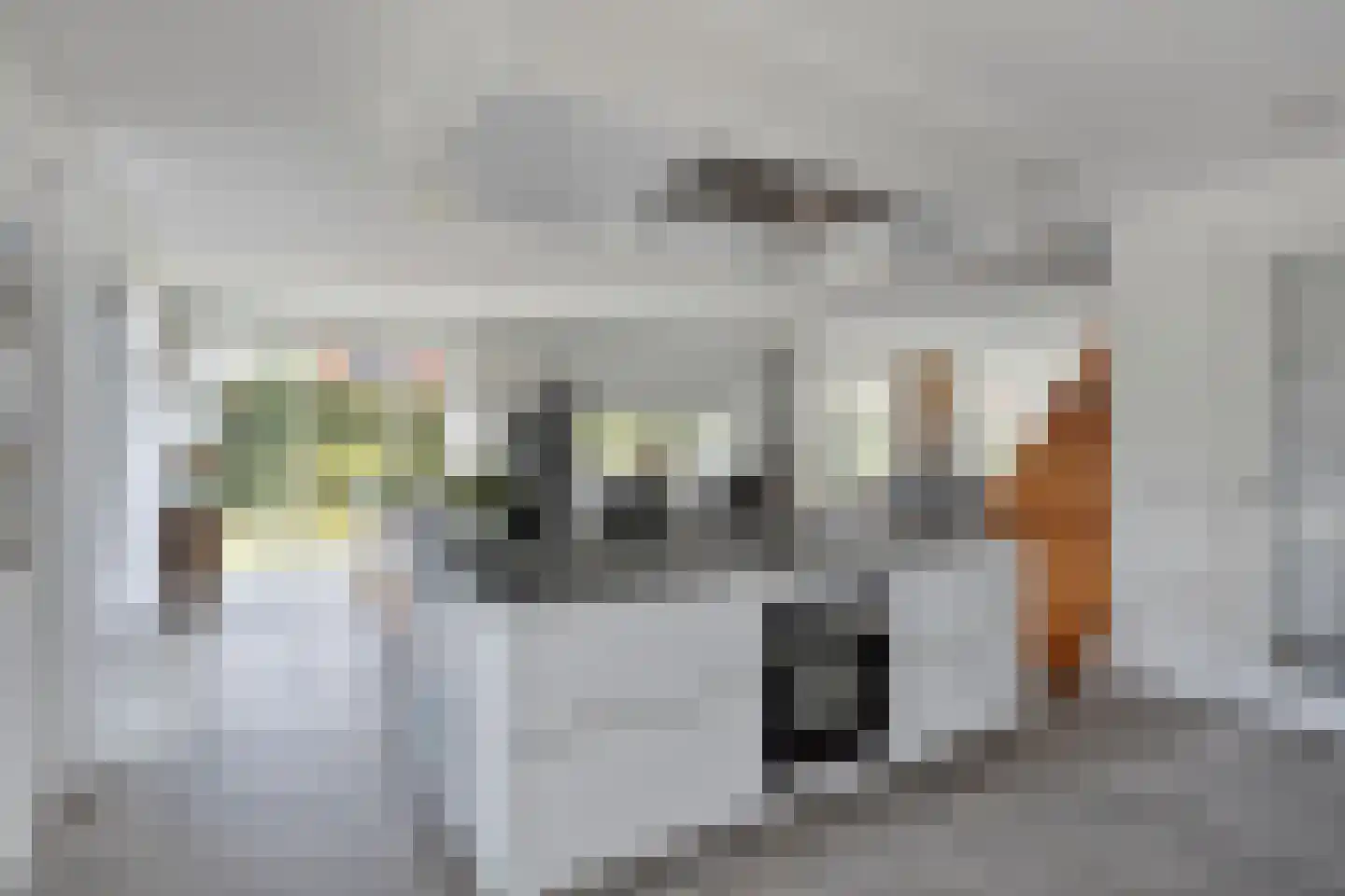 Hella Haassestraat 9 Duiven thumbnail 18