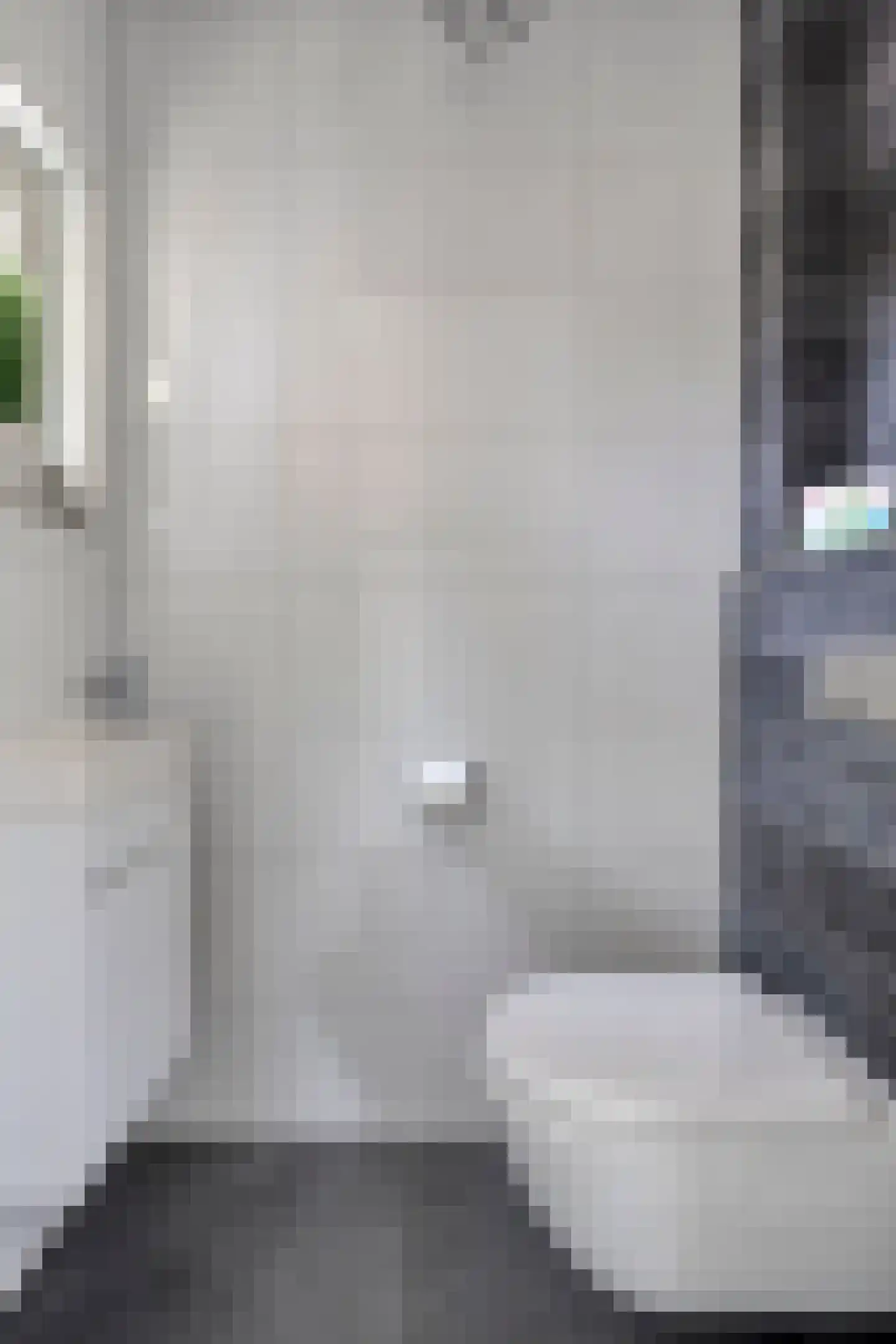 Hella Haassestraat 9 Duiven thumbnail 21