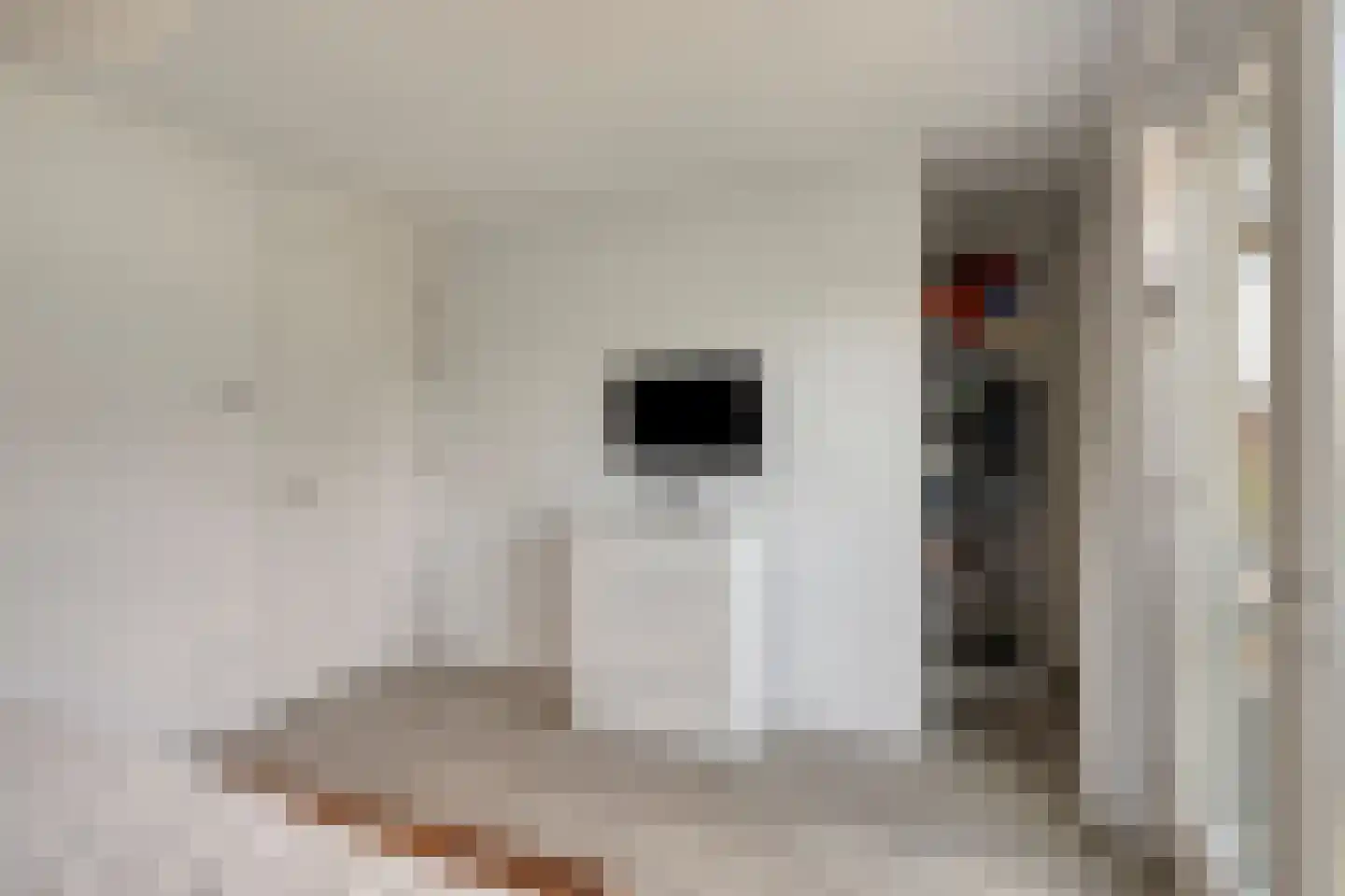 Hella Haassestraat 9 Duiven thumbnail 28
