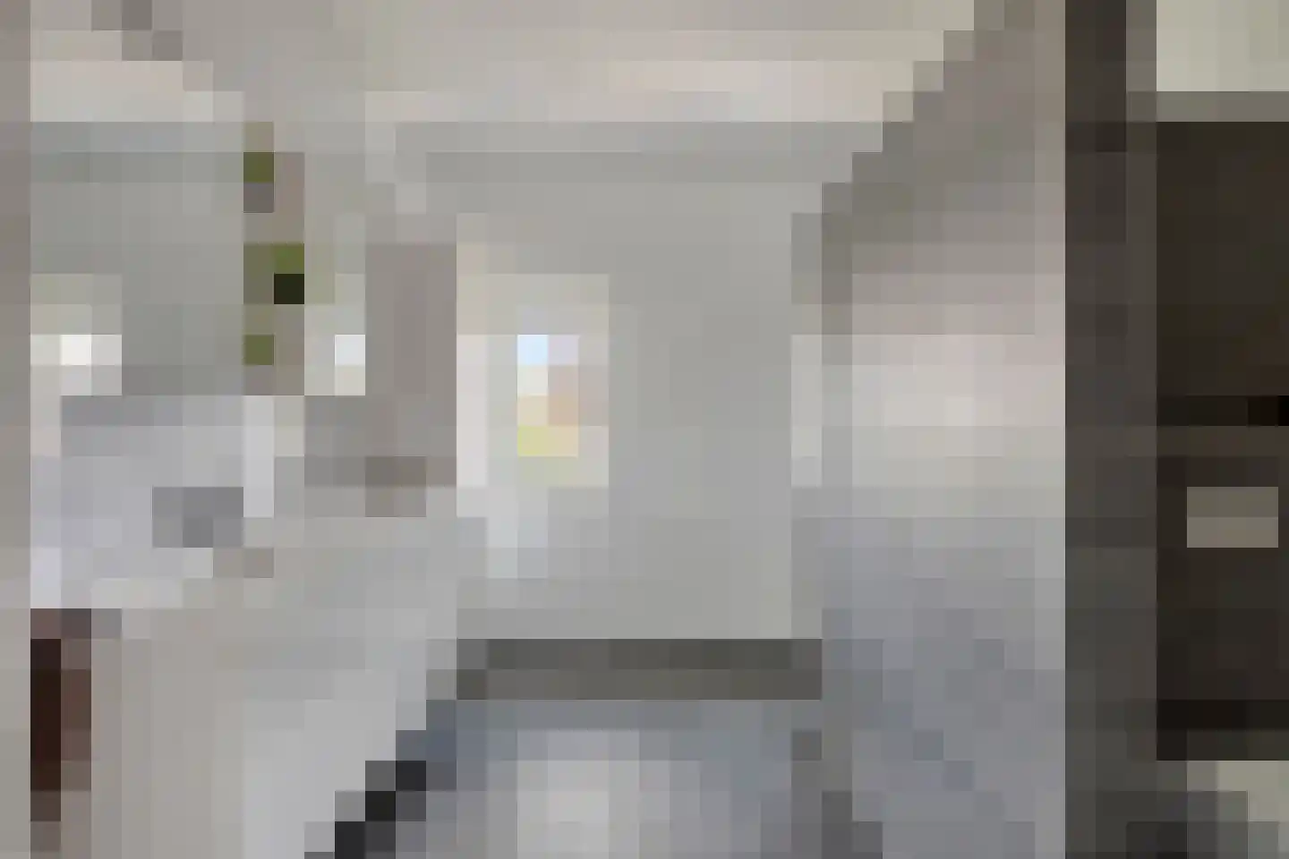 Hella Haassestraat 9 Duiven thumbnail 29