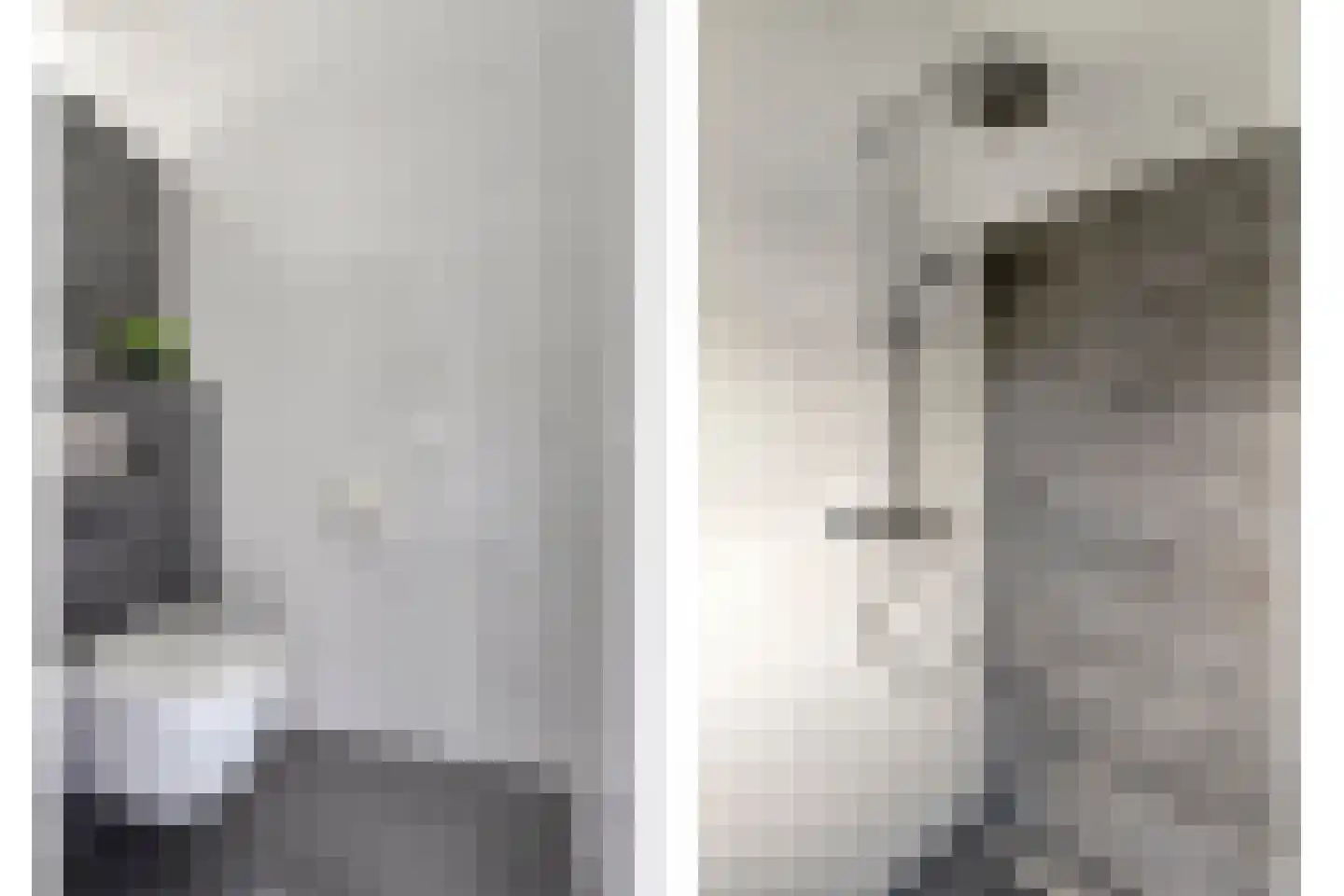 Hella Haassestraat 9 Duiven thumbnail 31