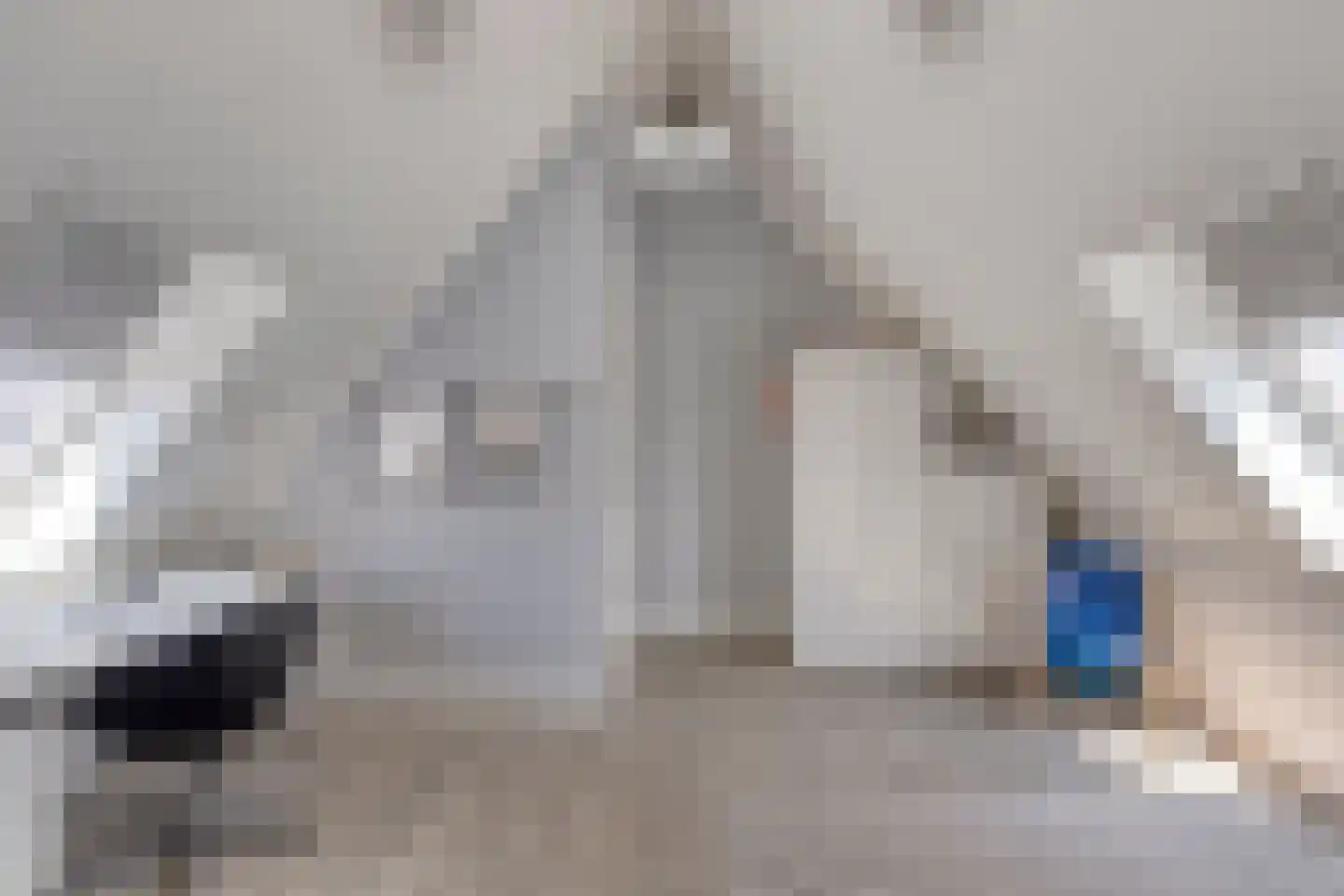 Hella Haassestraat 9 Duiven thumbnail 38