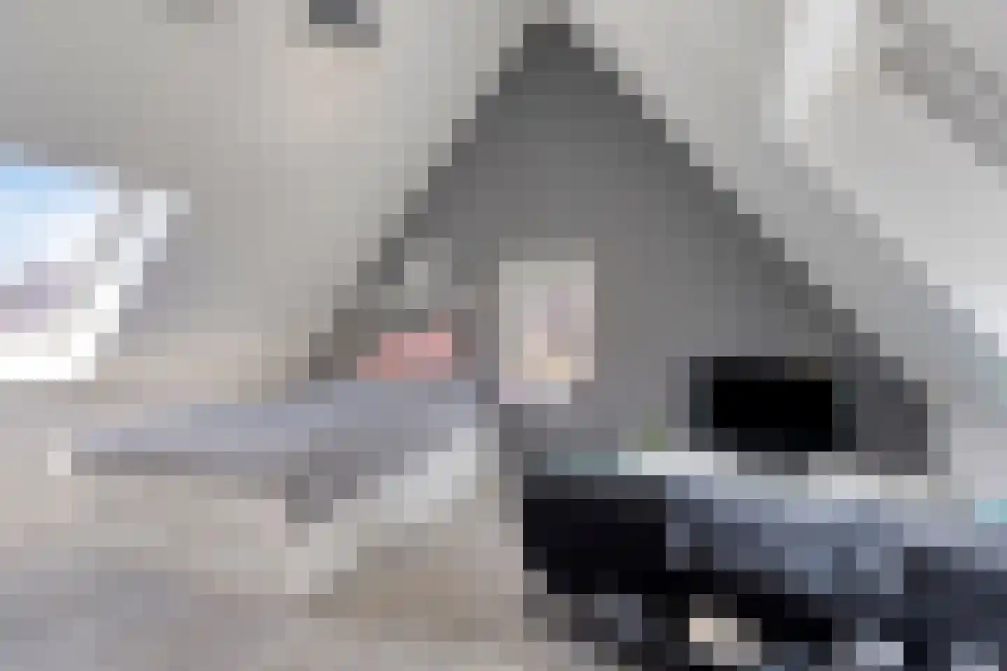 Hella Haassestraat 9 Duiven thumbnail 39