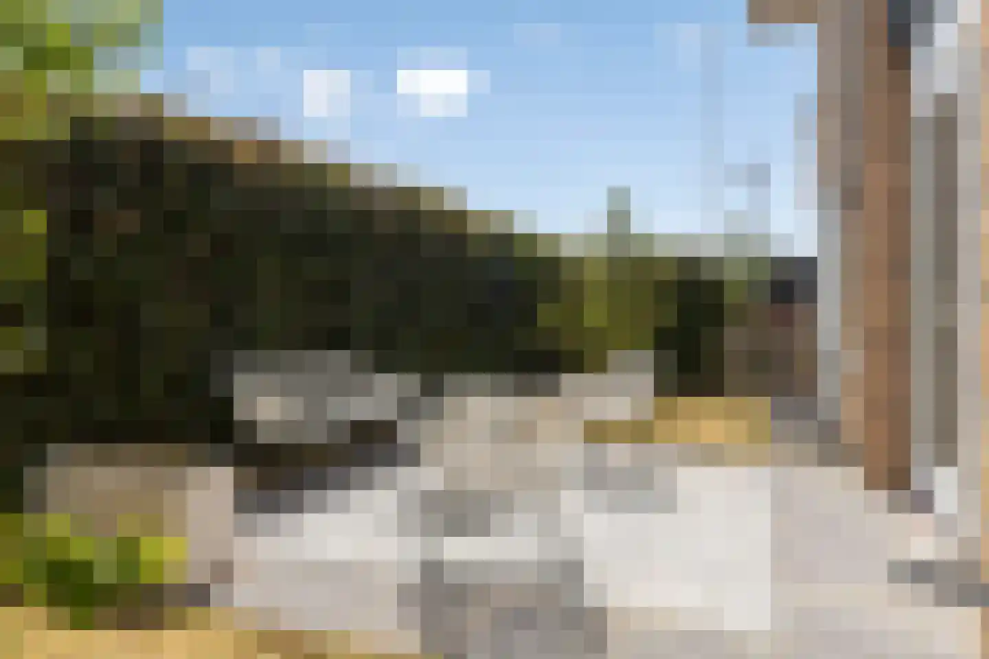 Hella Haassestraat 9 Duiven thumbnail 44