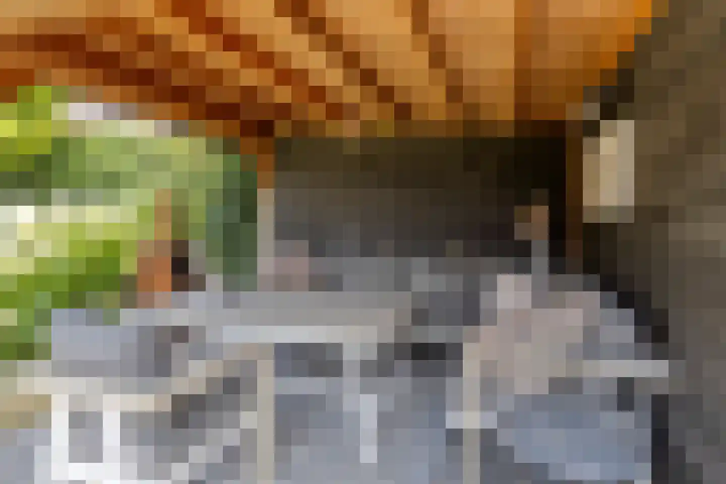 Hella Haassestraat 9 Duiven thumbnail 45