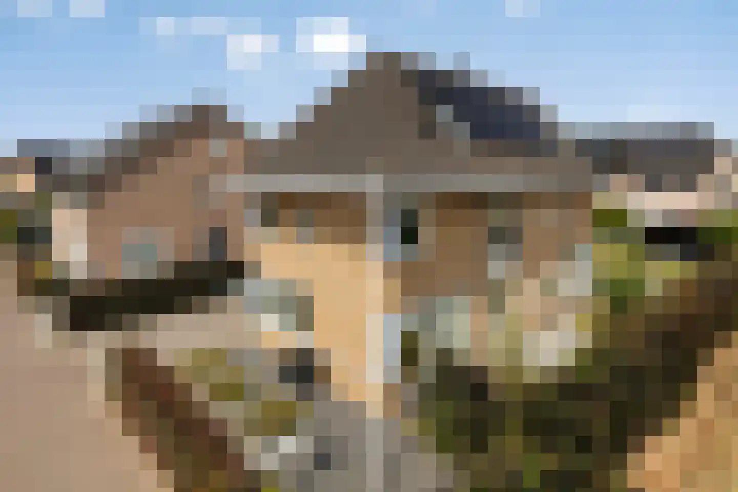 Hella Haassestraat 9 Duiven thumbnail 48