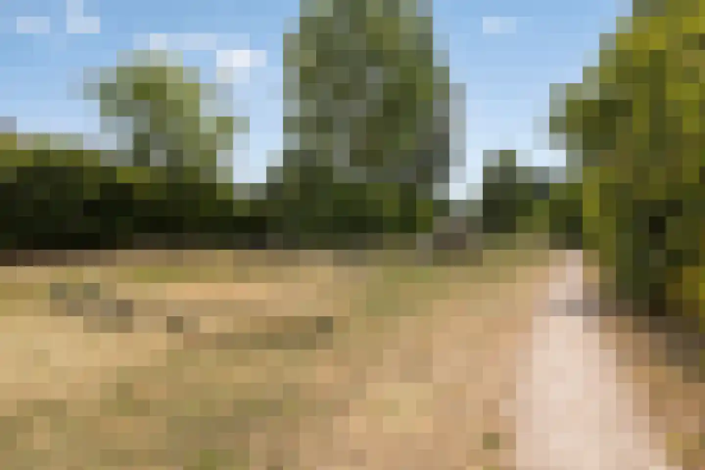 Hella Haassestraat 9 Duiven thumbnail 51