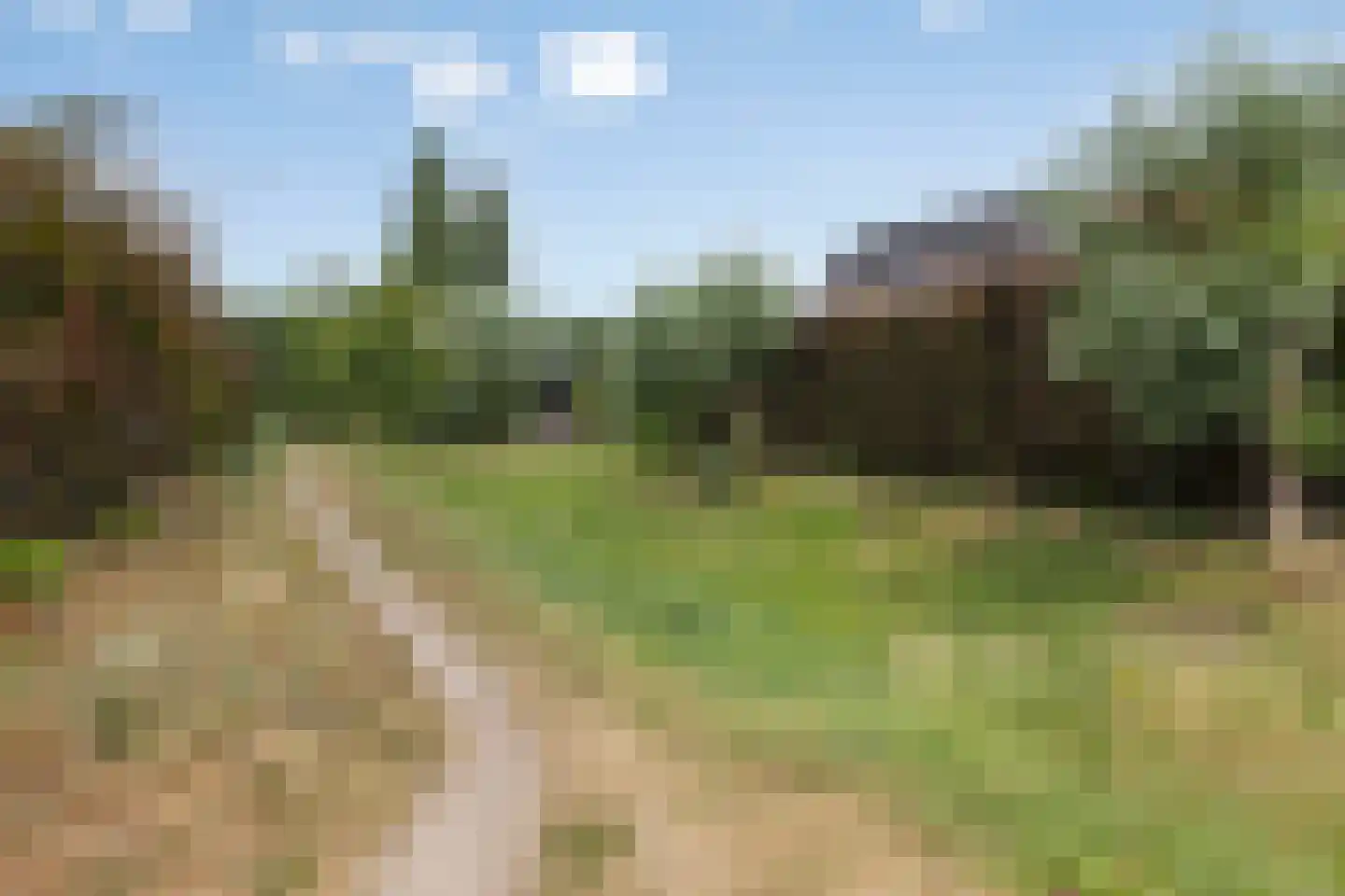 Hella Haassestraat 9 Duiven thumbnail 52