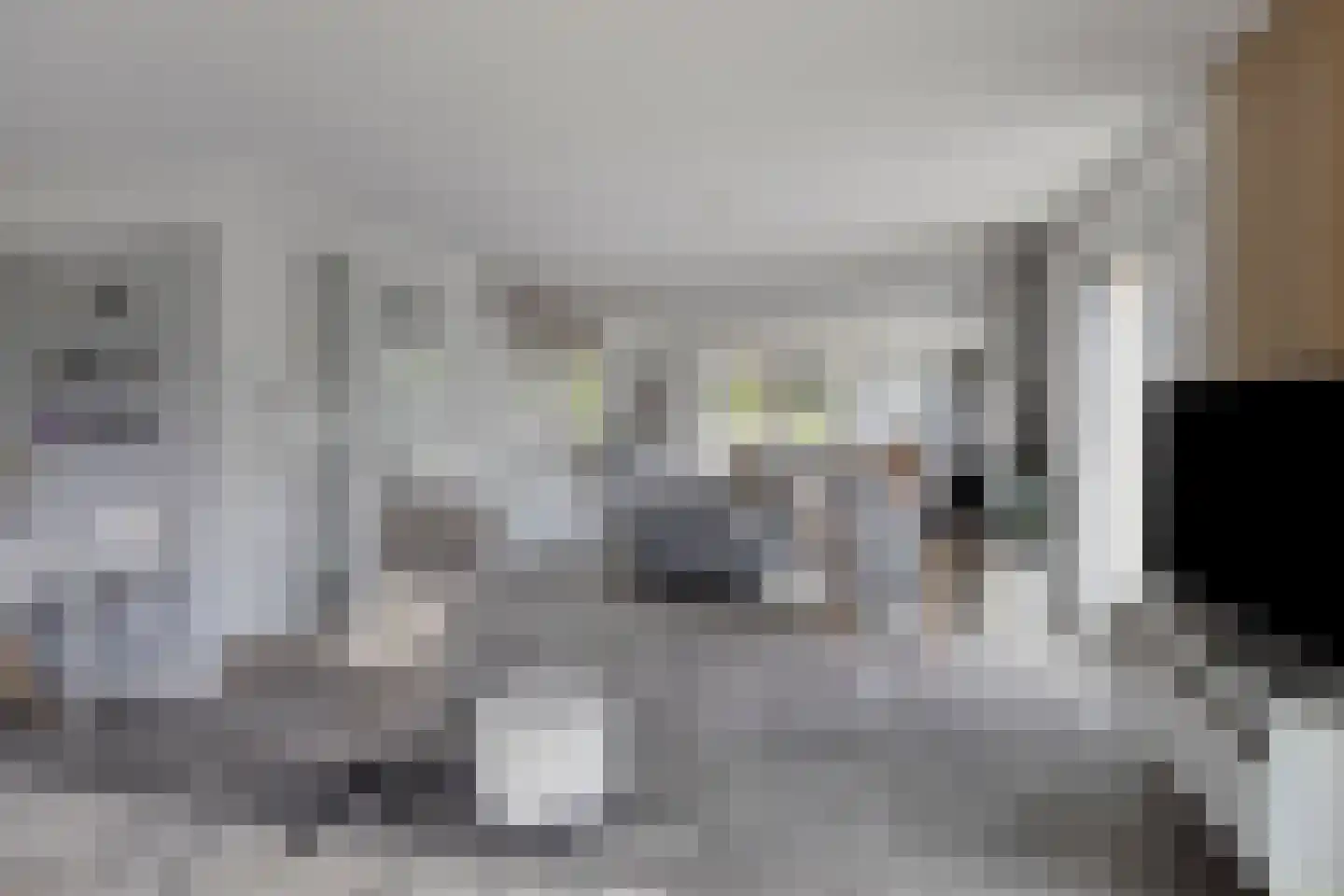 Hella Haassestraat 9 Duiven thumbnail 8
