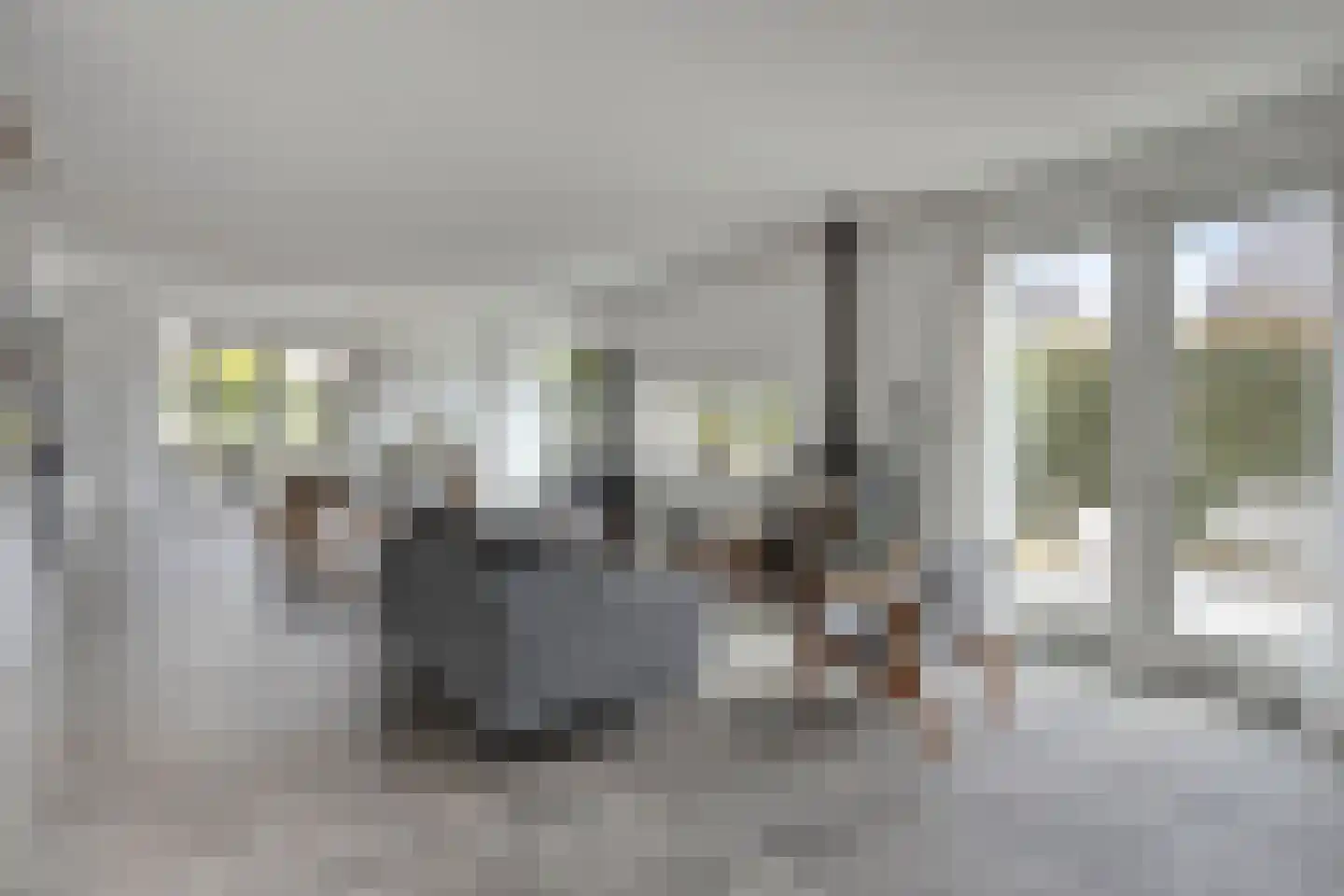 Hella Haassestraat 9 Duiven thumbnail 9