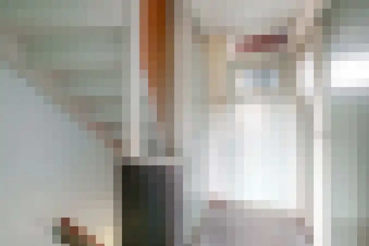 Hellasstraat 54 Purmerend thumbnail 13