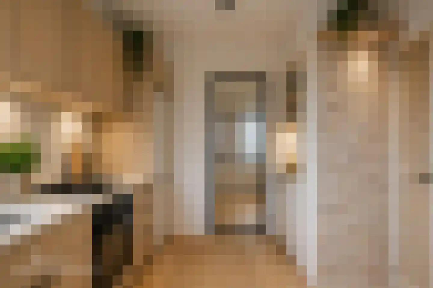Hellasstraat 54 Purmerend thumbnail 8