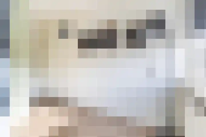 Hellasstrjitte 45 Stiens thumbnail 22
