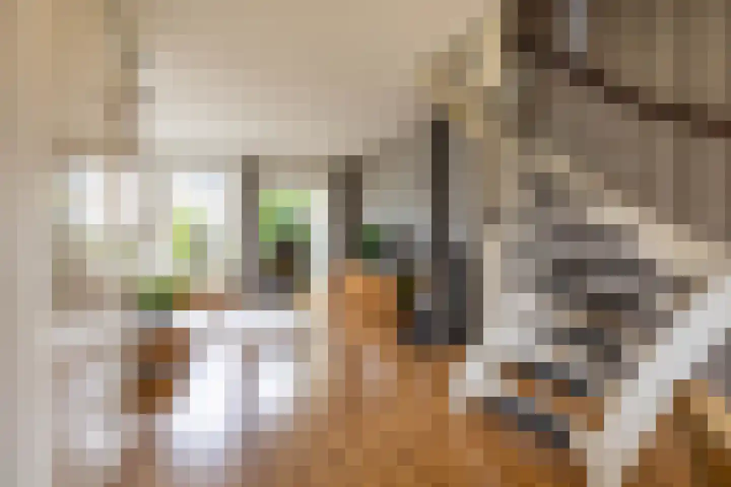Hellasstrjitte 48 Stiens thumbnail 26