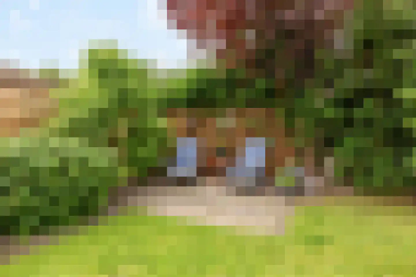 Hellasstrjitte 48 Stiens thumbnail 49