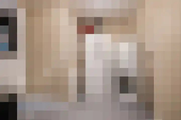 Hellebaard 1 Uden thumbnail 17
