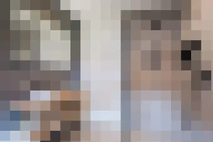 Hellebaard 1 Uden thumbnail 27