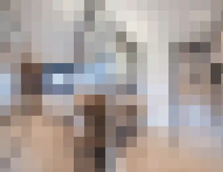 Hellebaard 1 Uden thumbnail 28