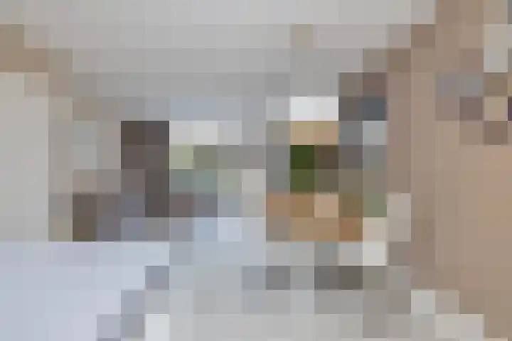 Hellebaardier 13 Amstelveen thumbnail 12