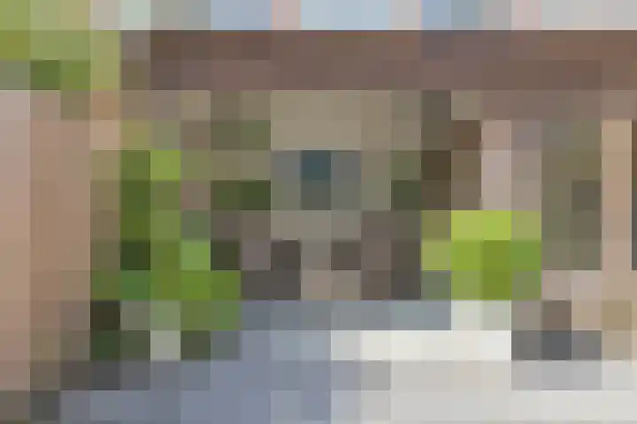 Hellebaardier 13 Amstelveen thumbnail 36