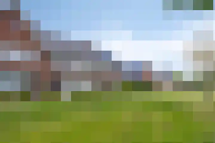 Hellebaardlaan 4 Zeeland thumbnail 10