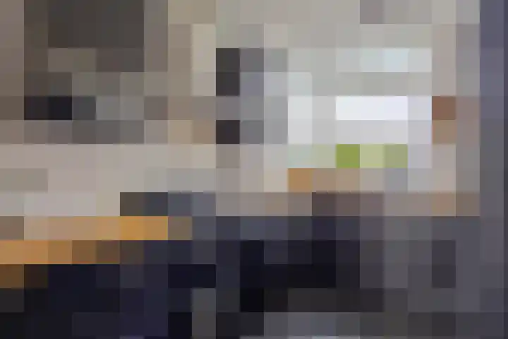 Hellebaardlaan 4 Zeeland thumbnail 14