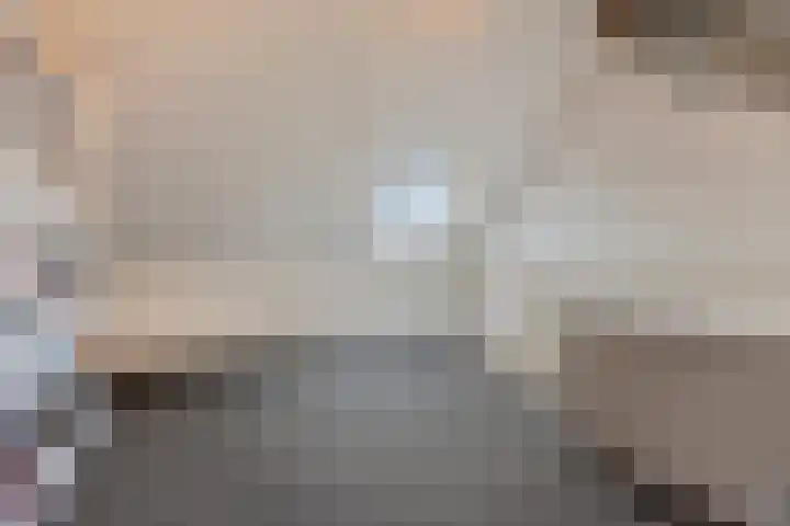 Hellebaardlaan 4 Zeeland thumbnail 22