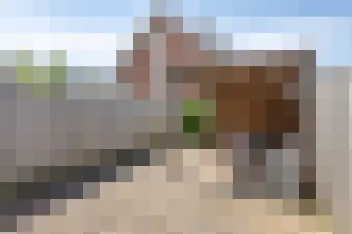 Hellebaardlaan 4 Zeeland thumbnail 23