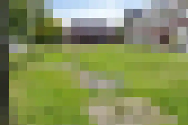Hellebaardlaan 4 Zeeland thumbnail 27