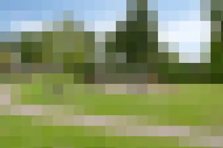 Hellebaardlaan 4 Zeeland thumbnail 29
