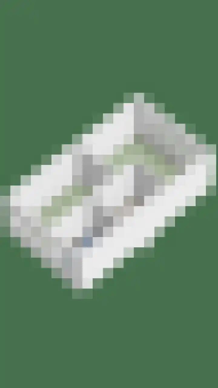 Hellebaardlaan 4 Zeeland thumbnail 35