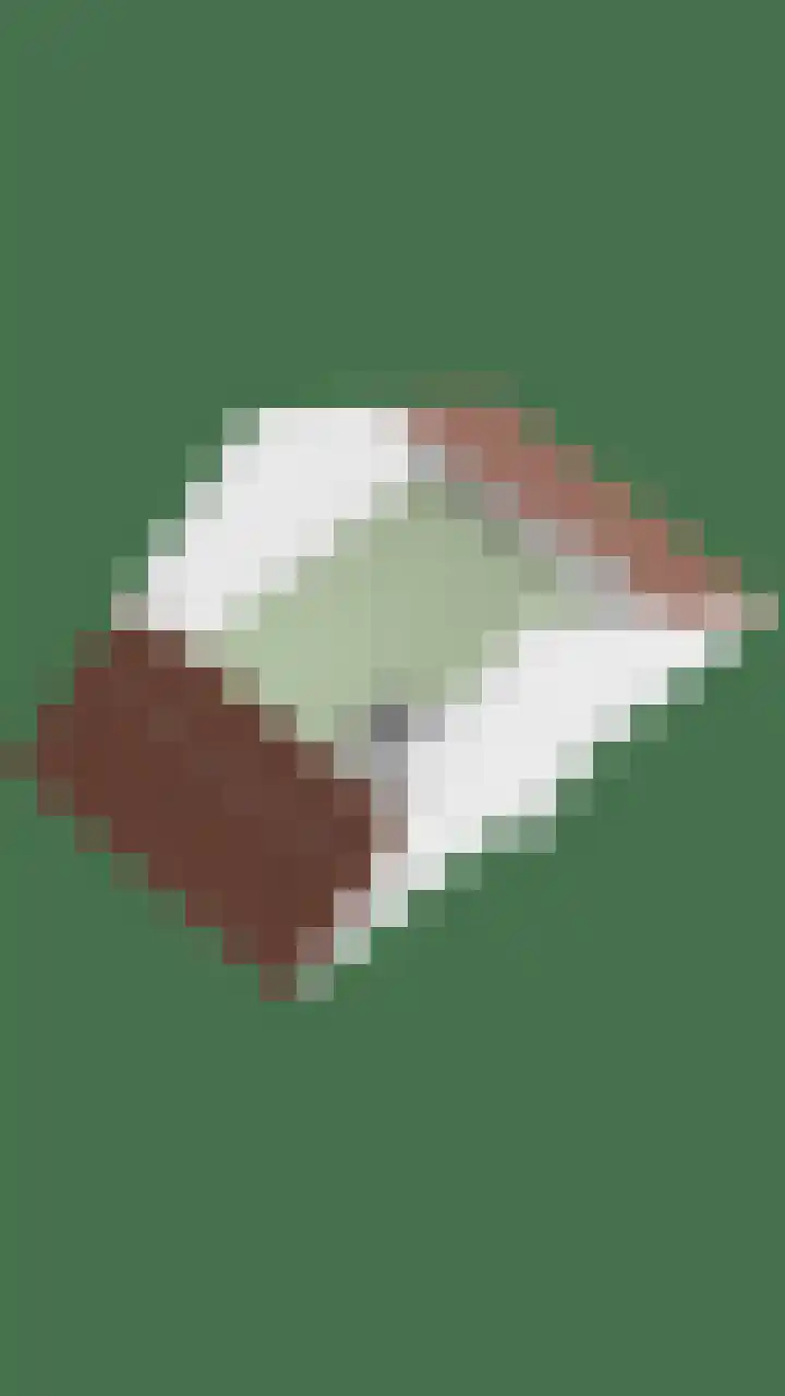Hellebaardlaan 4 Zeeland thumbnail 36