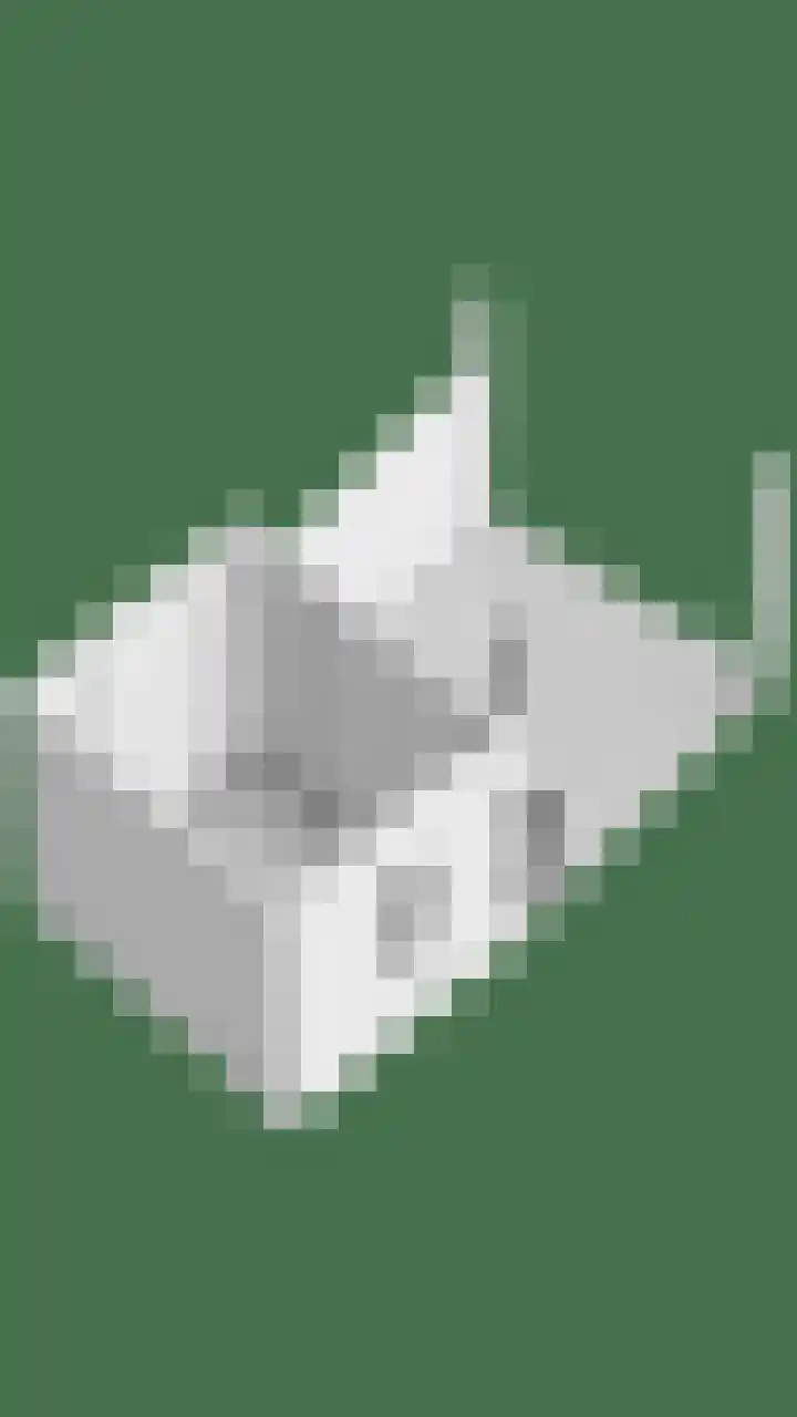 Hellebaardlaan 4 Zeeland thumbnail 37