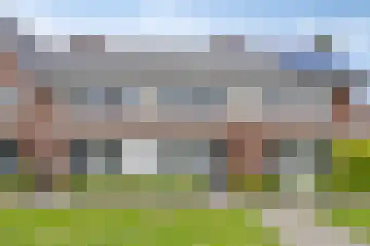 Hellebaardlaan 4 Zeeland thumbnail 8