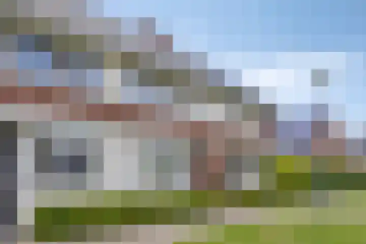 Hellebaardlaan 4 Zeeland thumbnail 9