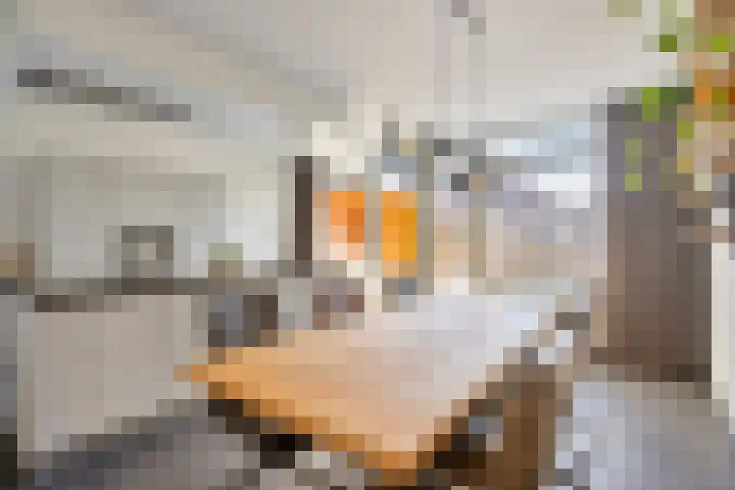Hellebaardlaan 9 Zeeland thumbnail 12