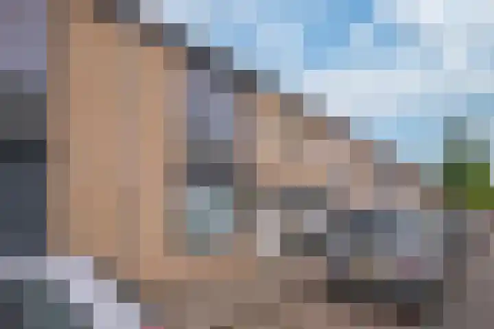 Hellebaardruwe 19 Maastricht