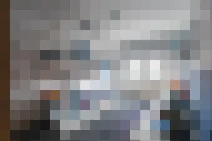 Hellebaardruwe 19 Maastricht thumbnail 10