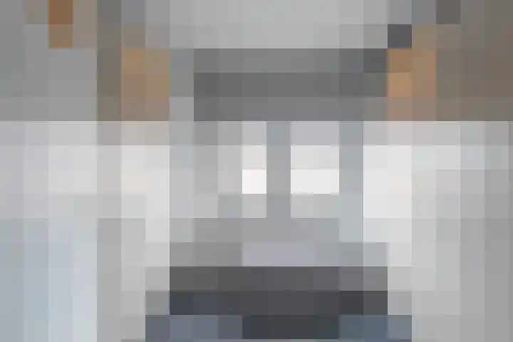 Hellebaardruwe 19 Maastricht thumbnail 11
