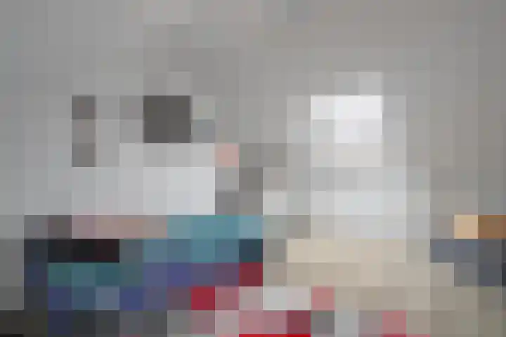 Hellebaardruwe 19 Maastricht thumbnail 13