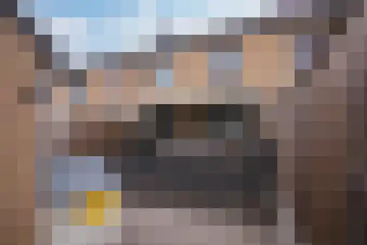 Hellebaardruwe 19 Maastricht thumbnail 18