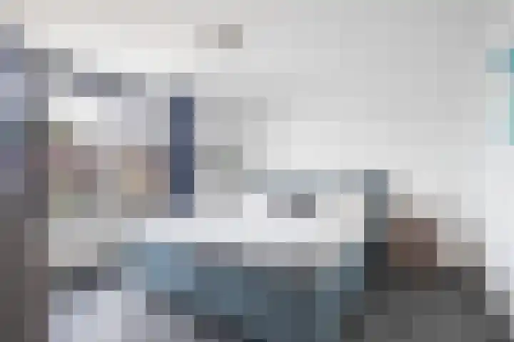 Hellebaardruwe 19 Maastricht thumbnail 8