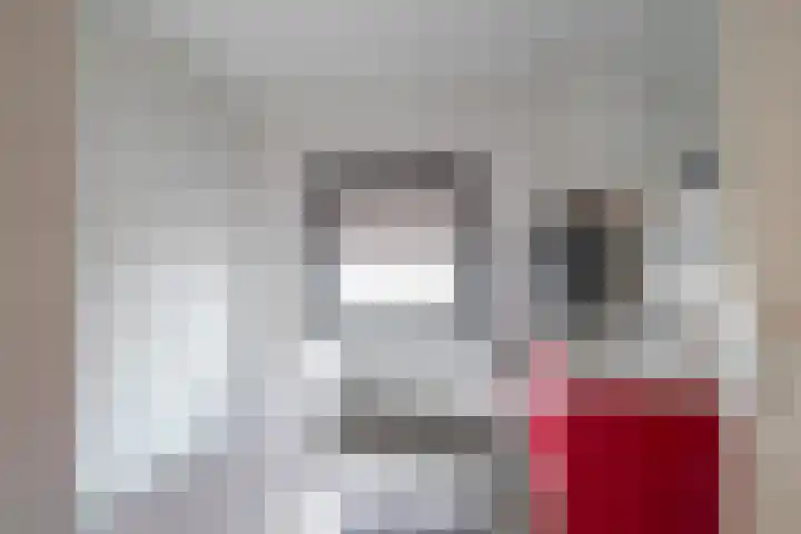 Hellebaardruwe 19 Maastricht thumbnail 9