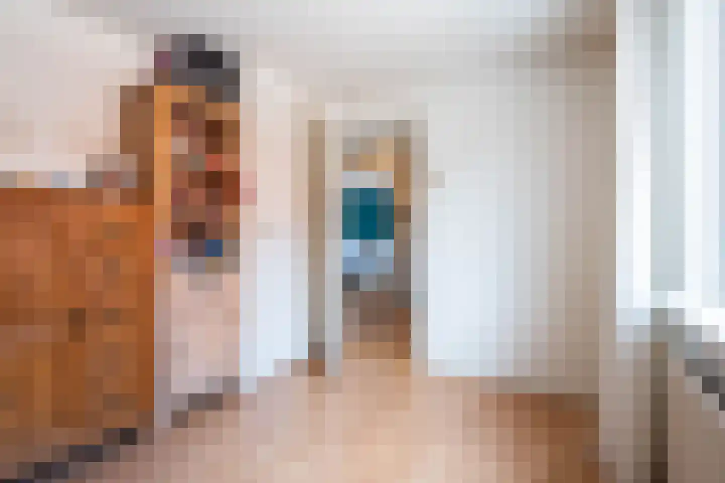 Hellebaardstraat 12 Tilburg thumbnail 16