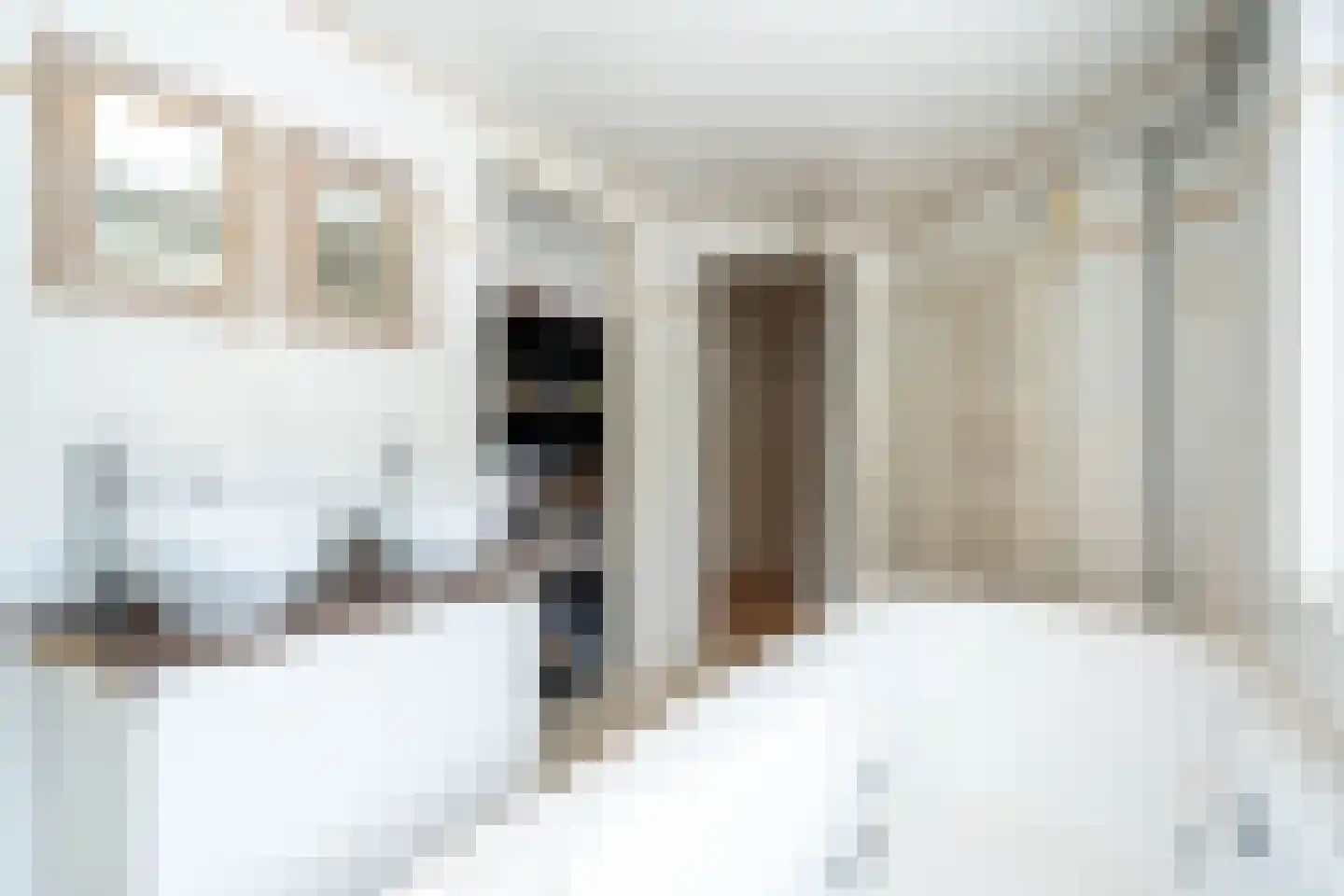 Hellebaardstraat 12 Tilburg thumbnail 18